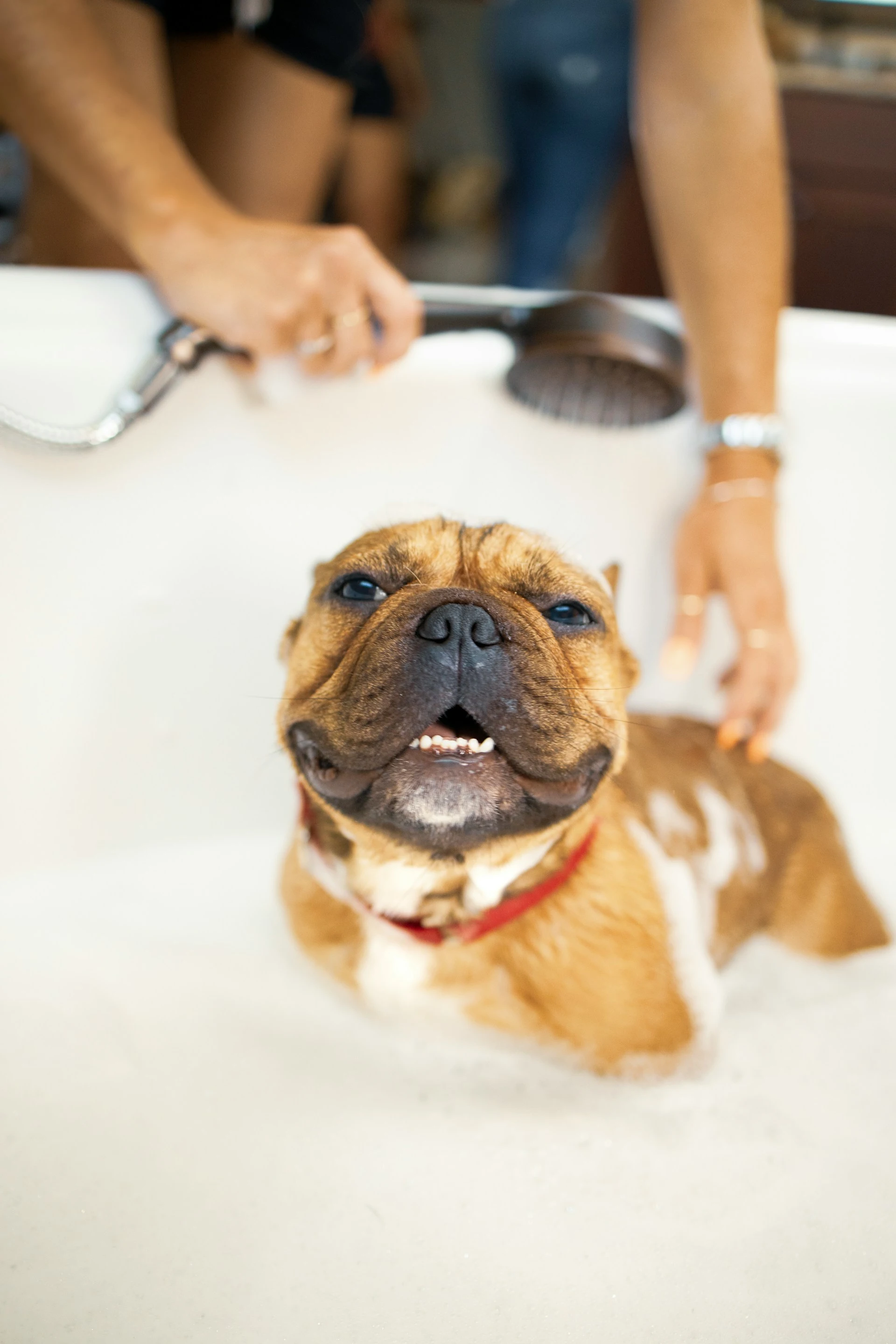 imagen de baño